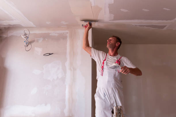 Best Water-Damaged Drywall Repair  in Ocilla, GA